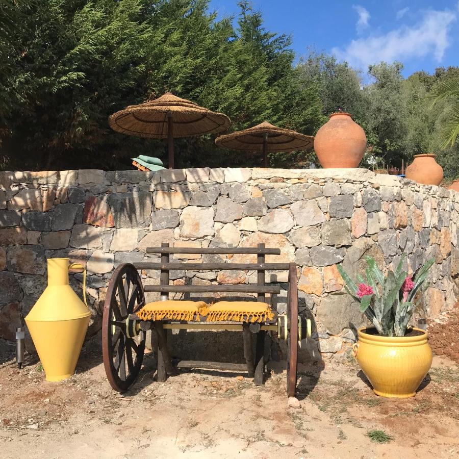 Moradia Rural De Charme Agradavel E Acolhedora Villa Arrimal Exterior photo